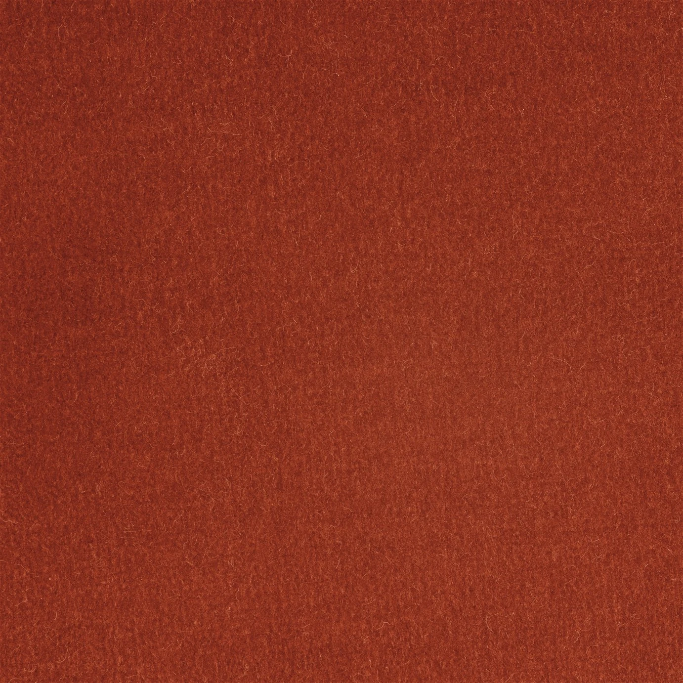 Habitat Fenner Velvet Fabric Armchair - Orange - Image 3