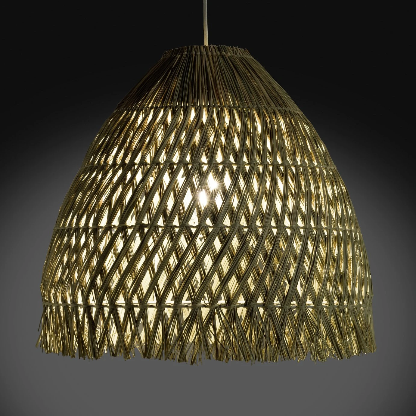 Habitat Biwa Seagrass Pendant Shade - Image 5